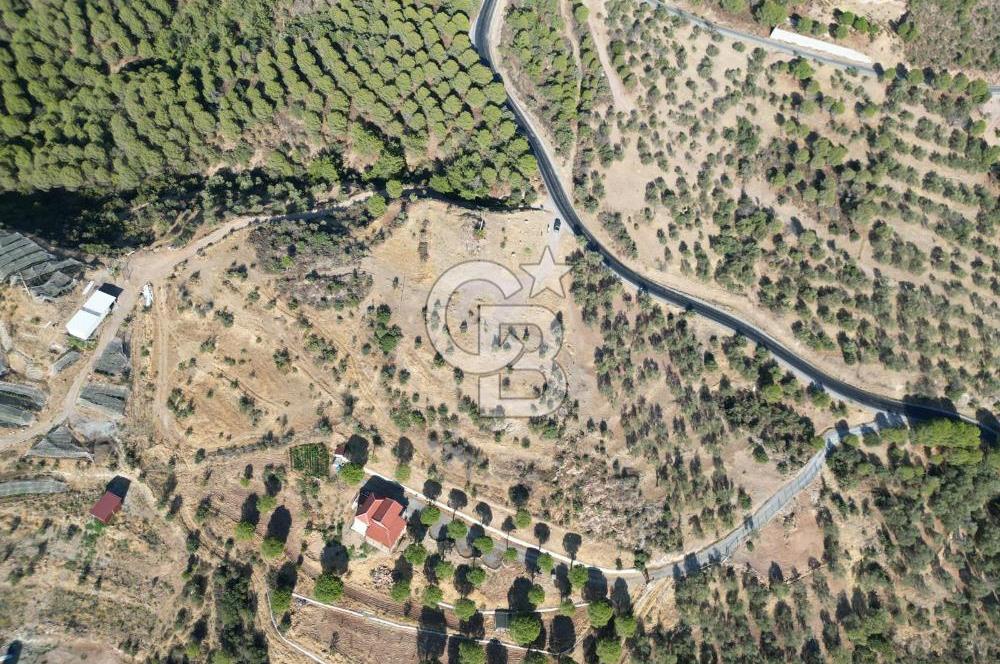 BALIKESİR AYVALIK TIFILLAR MAHALLESİ 20.212 m² EKO TURİZM İMARLI