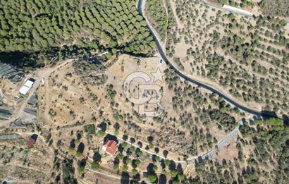 BALIKESİR AYVALIK TIFILLAR MAHALLESİ 20.212 m² EKO TURİZM İMARLI