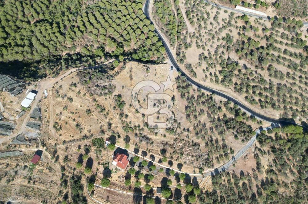 BALIKESİR AYVALIK TIFILLAR MAHALLESİ 20.212 m² EKO TURİZM İMARLI