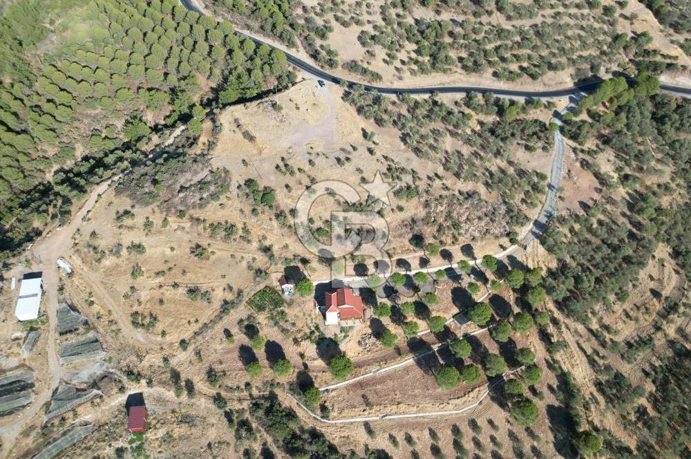 BALIKESİR AYVALIK TIFILLAR MAHALLESİ 20.212 m² EKO TURİZM İMARLI