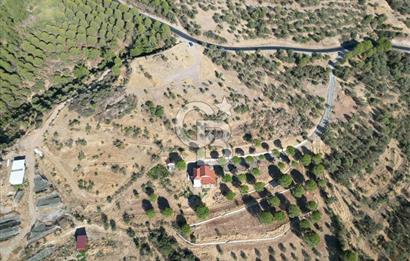 BALIKESİR AYVALIK TIFILLAR MAHALLESİ 20.212 m² EKO TURİZM İMARLI