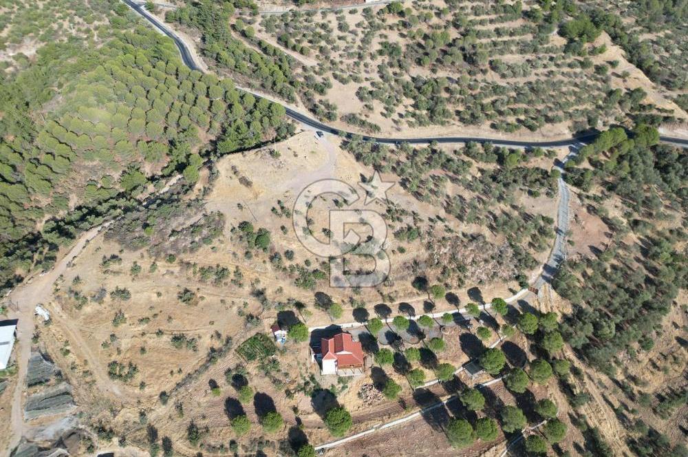 BALIKESİR AYVALIK TIFILLAR MAHALLESİ 20.212 m² EKO TURİZM İMARLI