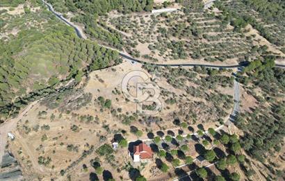 BALIKESİR AYVALIK TIFILLAR MAHALLESİ 20.212 m² EKO TURİZM İMARLI