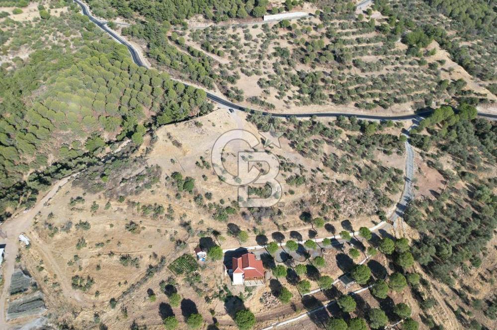BALIKESİR AYVALIK TIFILLAR MAHALLESİ 20.212 m² EKO TURİZM İMARLI