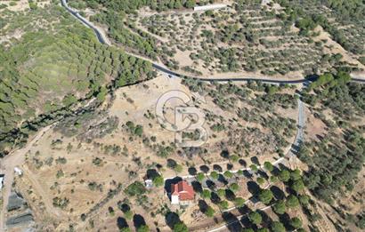 BALIKESİR AYVALIK TIFILLAR MAHALLESİ 20.212 m² EKO TURİZM İMARLI