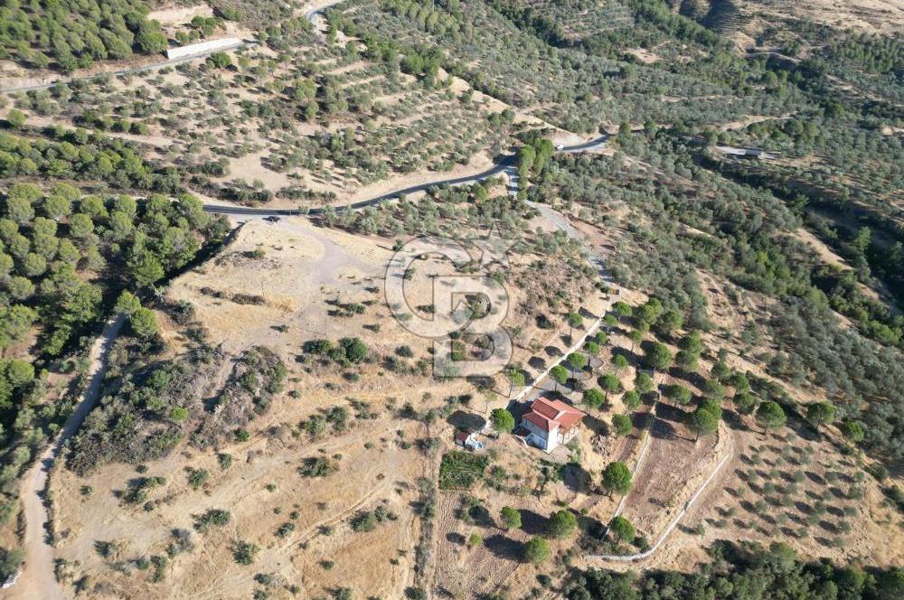 BALIKESİR AYVALIK TIFILLAR MAHALLESİ 20.212 m² EKO TURİZM İMARLI