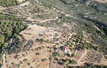 BALIKESİR AYVALIK TIFILLAR MAHALLESİ 20.212 m² EKO TURİZM İMARLI
