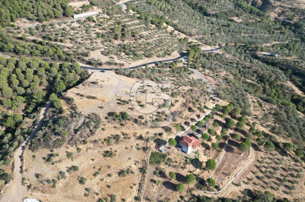 BALIKESİR AYVALIK TIFILLAR MAHALLESİ 20.212 m² EKO TURİZM İMARLI