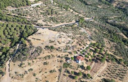 BALIKESİR AYVALIK TIFILLAR MAHALLESİ 20.212 m² EKO TURİZM İMARLI