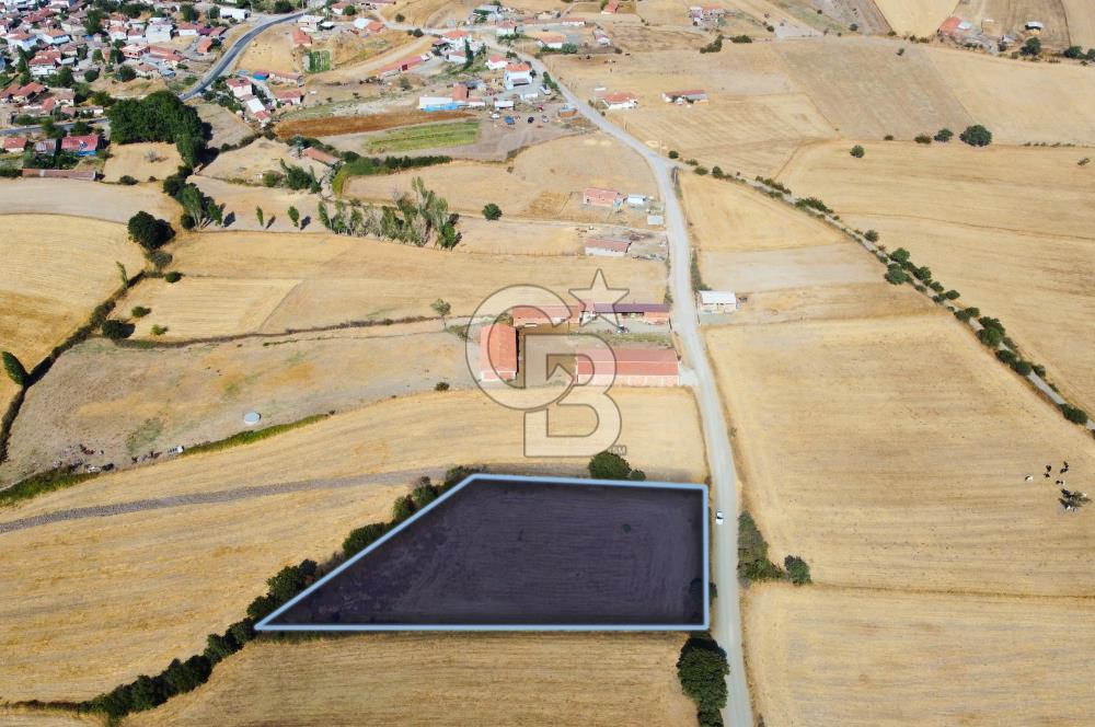 Çanakkale Lapseki Şahinli Köye Yakın Manzaralı 4.650m² Tarla