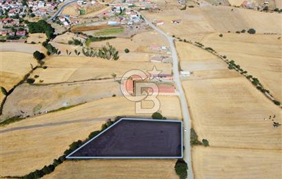 Çanakkale Lapseki Şahinli Köye Yakın Manzaralı 4.650m² Tarla