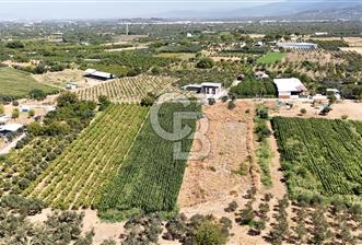Aşağı Kızılca Ova'sının en verimli bölgesinde 3.125 m2 Bağ vasfı