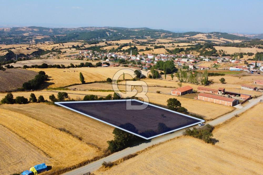 Çanakkale Lapseki Şahinli Köye Yakın Manzaralı 4.650m² Tarla