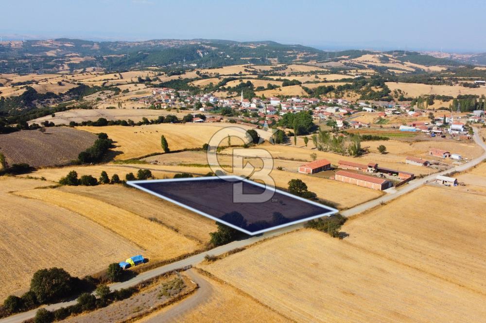 Çanakkale Lapseki Şahinli Köye Yakın Manzaralı 4.650m² Tarla