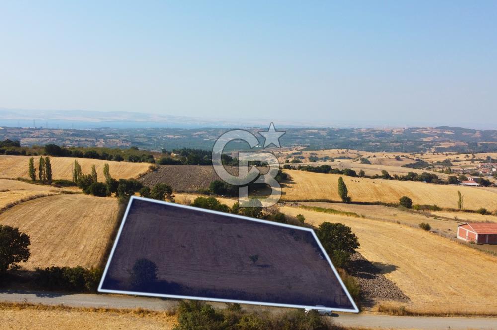 Çanakkale Lapseki Şahinli Köye Yakın Manzaralı 4.650m² Tarla