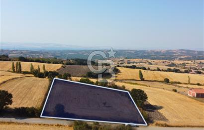 Çanakkale Lapseki Şahinli Köye Yakın Manzaralı 4.650m² Tarla