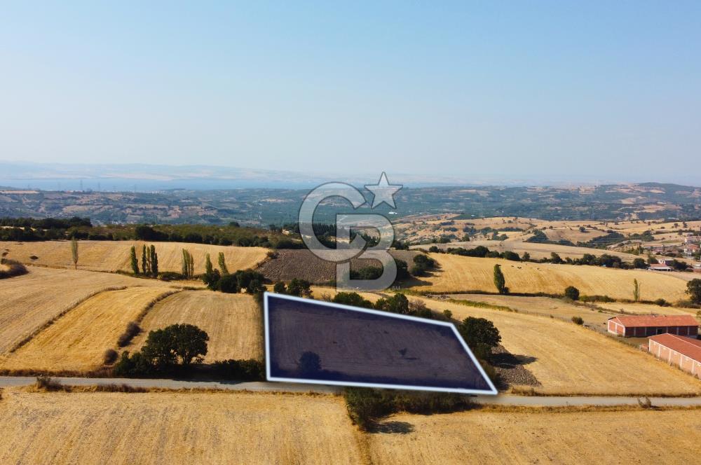 Çanakkale Lapseki Şahinli Köye Yakın Manzaralı 4.650m² Tarla