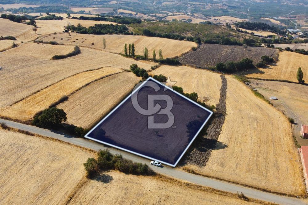 Çanakkale Lapseki Şahinli Köye Yakın Manzaralı 4.650m² Tarla
