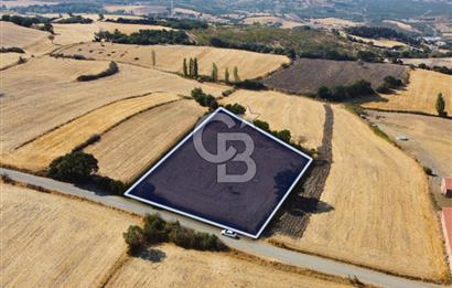 Çanakkale Lapseki Şahinli Köye Yakın Manzaralı 4.650m² Tarla