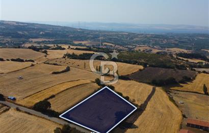 Çanakkale Lapseki Şahinli Köye Yakın Manzaralı 4.650m² Tarla