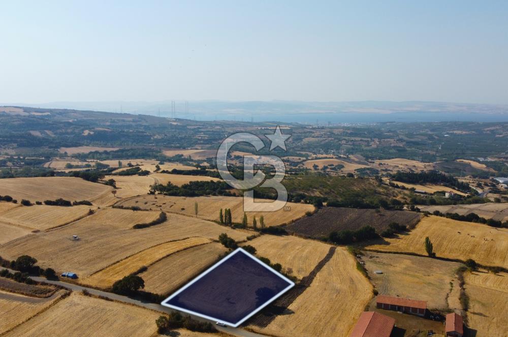 Çanakkale Lapseki Şahinli Köye Yakın Manzaralı 4.650m² Tarla