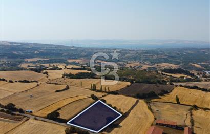 Çanakkale Lapseki Şahinli Köye Yakın Manzaralı 4.650m² Tarla