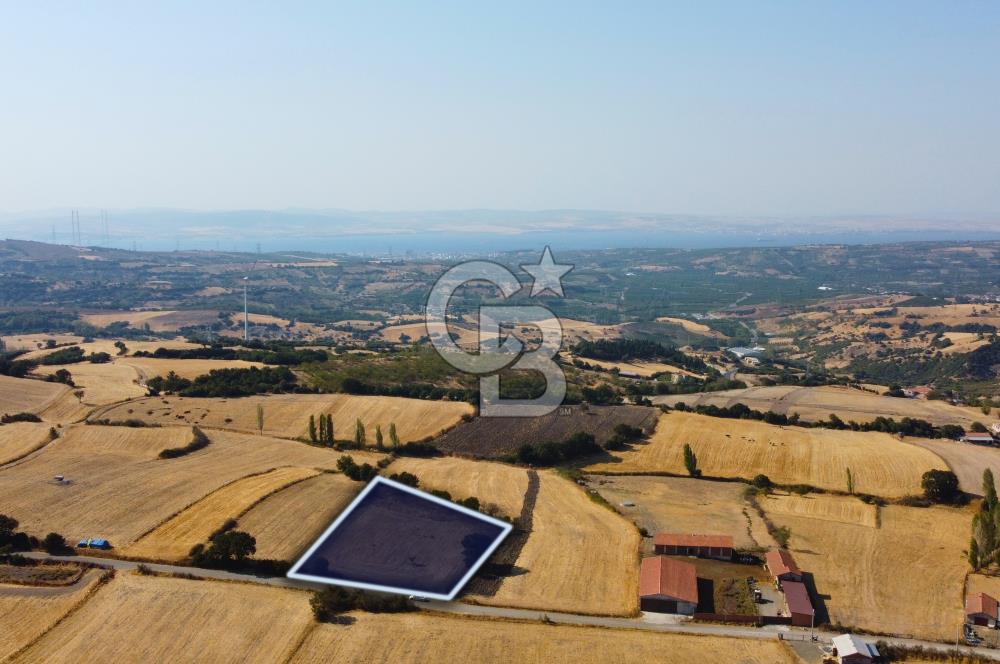 Çanakkale Lapseki Şahinli Köye Yakın Manzaralı 4.650m² Tarla