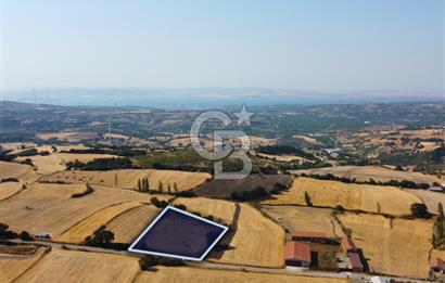 Çanakkale Lapseki Şahinli Köye Yakın Manzaralı 4.650m² Tarla