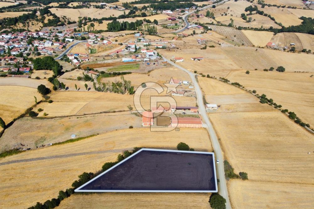 Çanakkale Lapseki Şahinli Köye Yakın Manzaralı 4.650m² Tarla