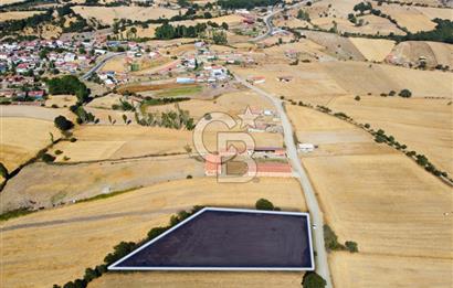 Çanakkale Lapseki Şahinli Köye Yakın Manzaralı 4.650m² Tarla