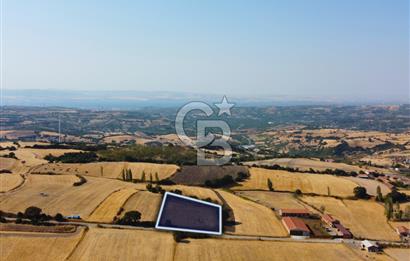 Çanakkale Lapseki Şahinli Köye Yakın Manzaralı 4.650m² Tarla