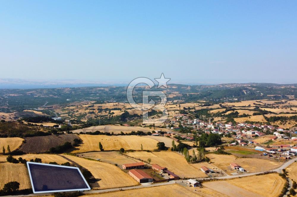 Çanakkale Lapseki Şahinli Köye Yakın Manzaralı 4.650m² Tarla