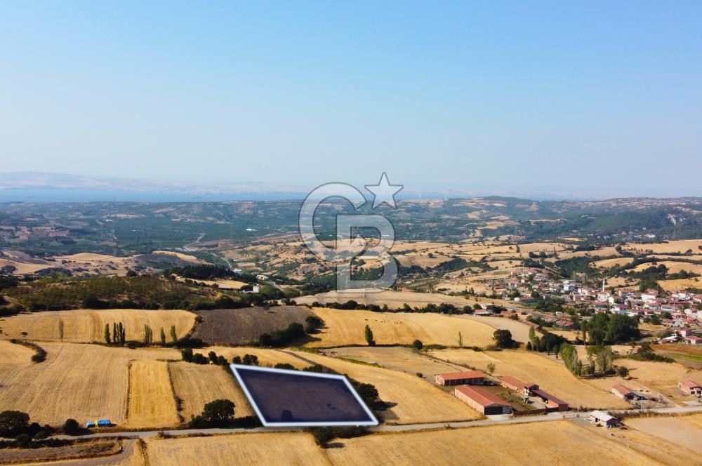 Çanakkale Lapseki Şahinli Köye Yakın Manzaralı 4.650m² Tarla