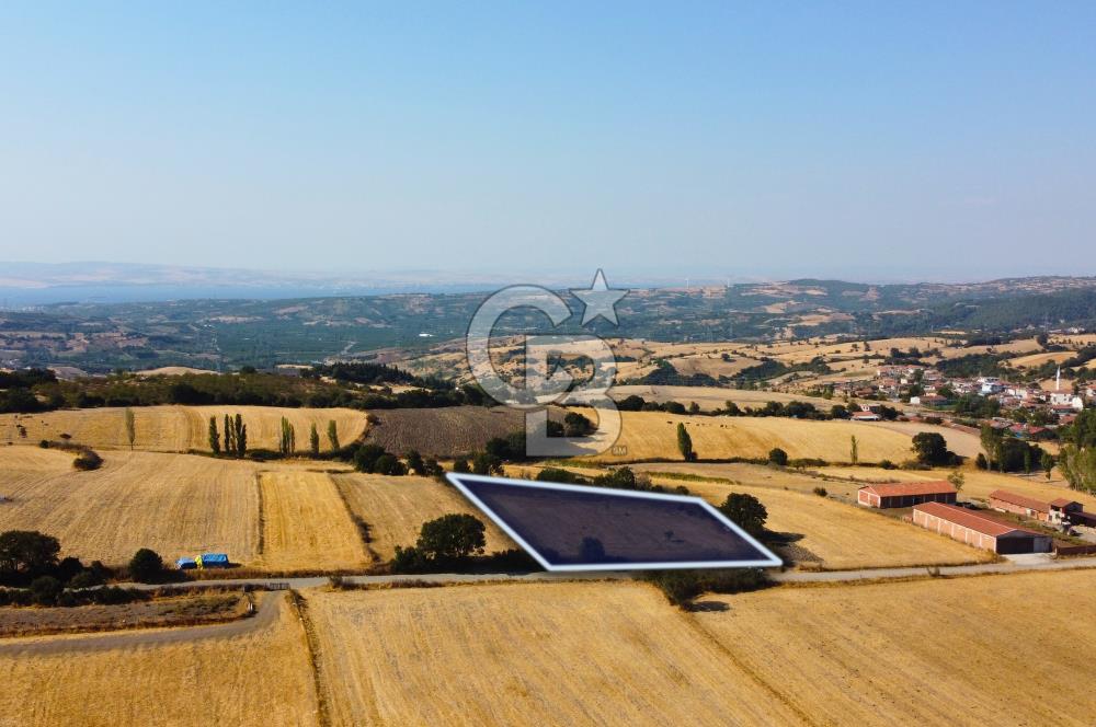 Çanakkale Lapseki Şahinli Köye Yakın Manzaralı 4.650m² Tarla