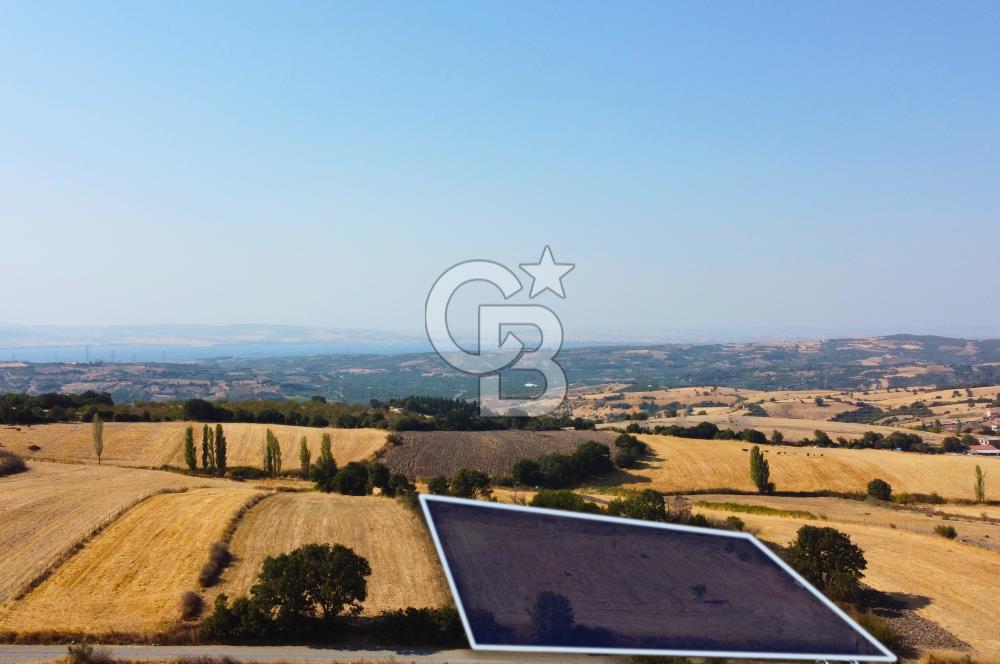 Çanakkale Lapseki Şahinli Köye Yakın Manzaralı 4.650m² Tarla