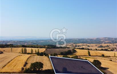 Çanakkale Lapseki Şahinli Köye Yakın Manzaralı 4.650m² Tarla