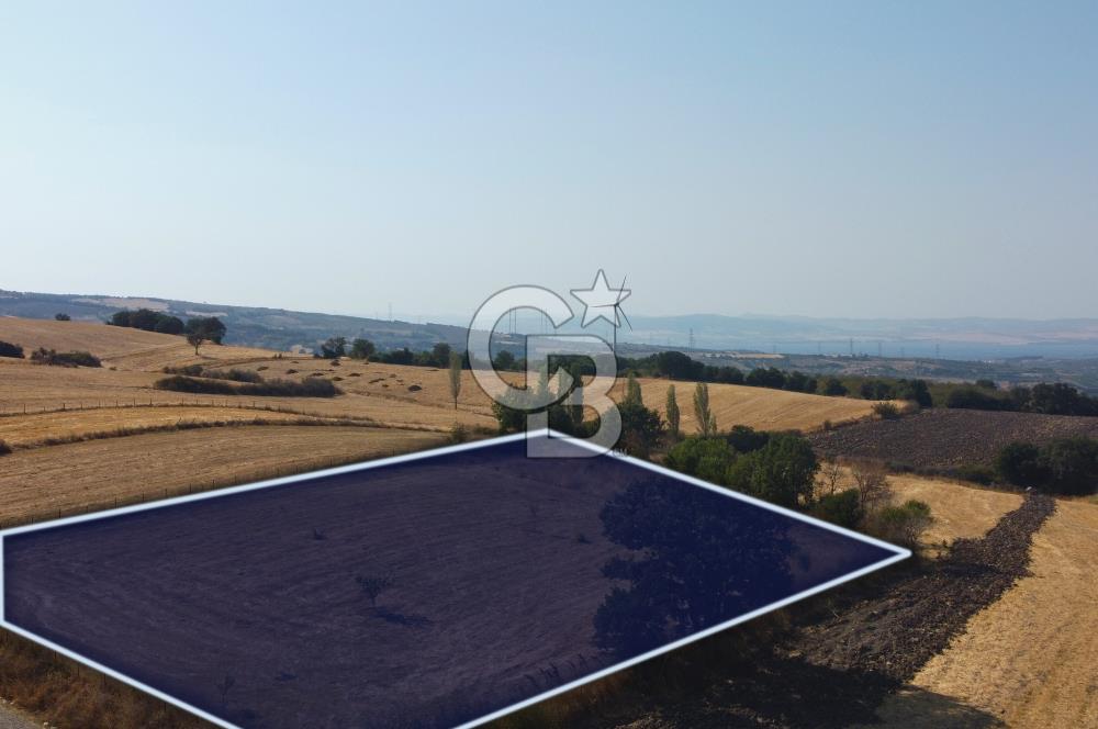 Çanakkale Lapseki Şahinli Köye Yakın Manzaralı 4.650m² Tarla
