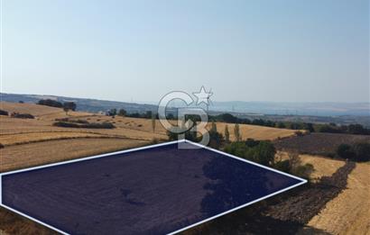 Çanakkale Lapseki Şahinli Köye Yakın Manzaralı 4.650m² Tarla