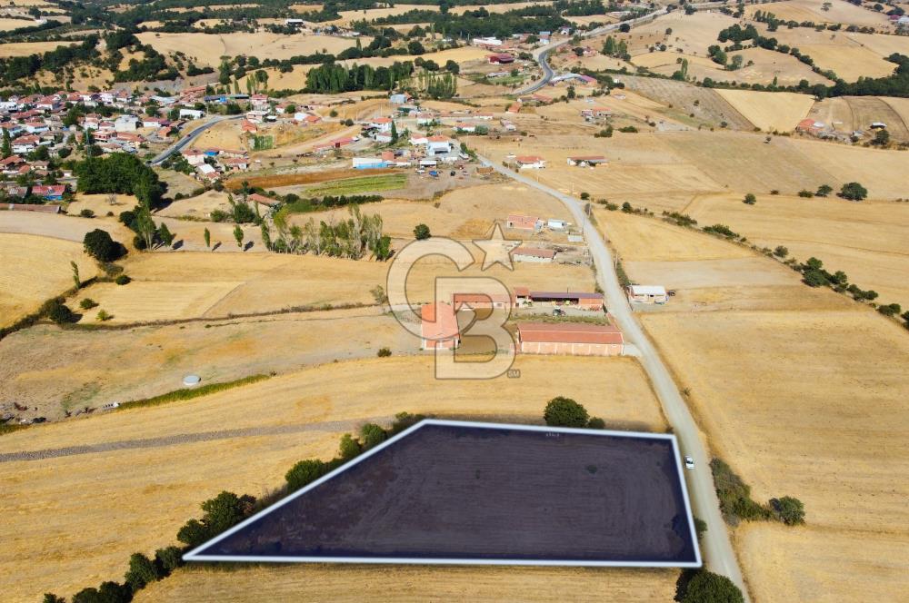 Çanakkale Lapseki Şahinli Köye Yakın Manzaralı 4.650m² Tarla