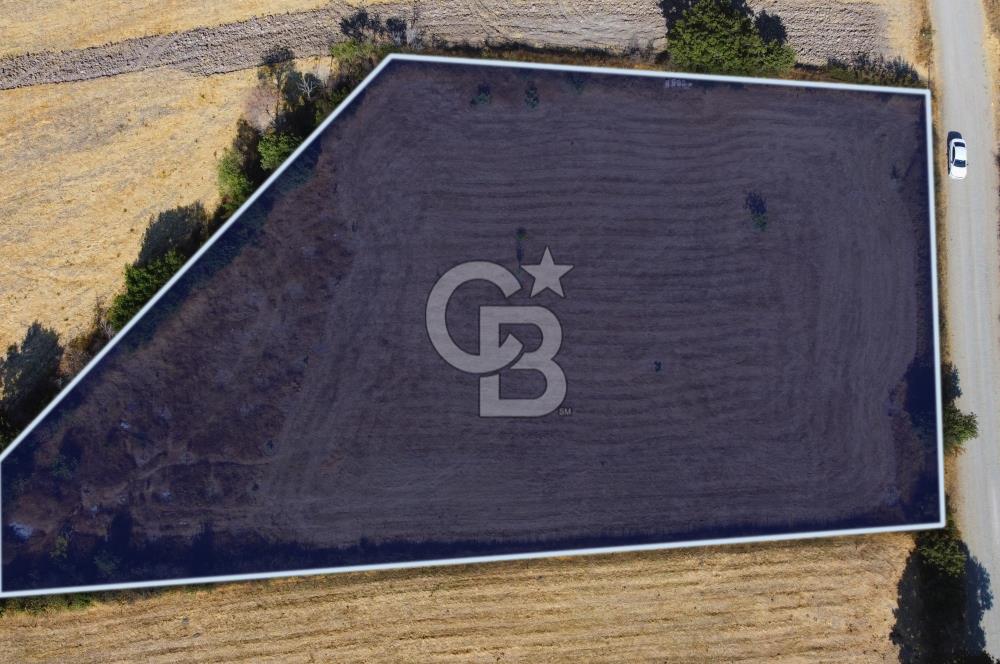 Çanakkale Lapseki Şahinli Köye Yakın Manzaralı 4.650m² Tarla