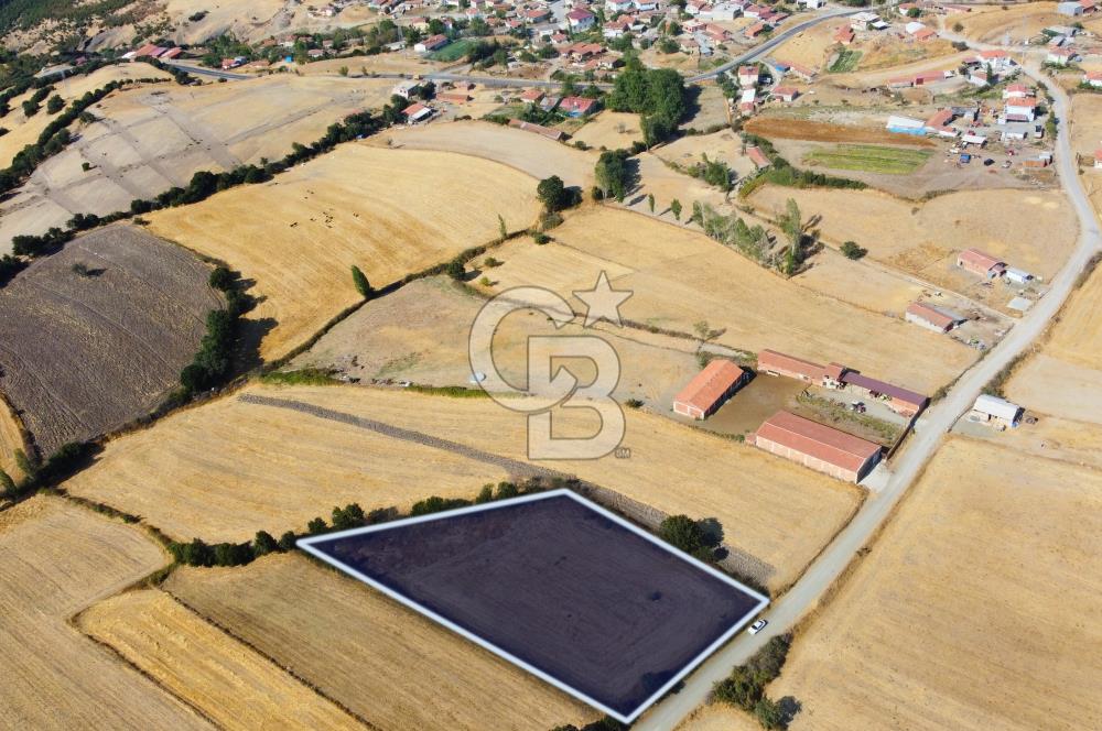 Çanakkale Lapseki Şahinli Köye Yakın Manzaralı 4.650m² Tarla