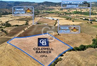 CB OPİA'DAN '' ŞAŞIRMAYIN GERÇEKTEN BU FİYATA SATIYORUZ ''