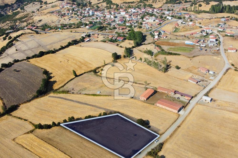 Çanakkale Lapseki Şahinli Köye Yakın Manzaralı 4.650m² Tarla