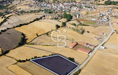 Çanakkale Lapseki Şahinli Köye Yakın Manzaralı 4.650m² Tarla