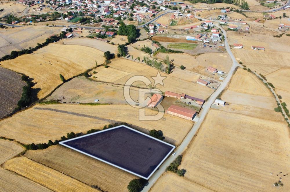 Çanakkale Lapseki Şahinli Köye Yakın Manzaralı 4.650m² Tarla