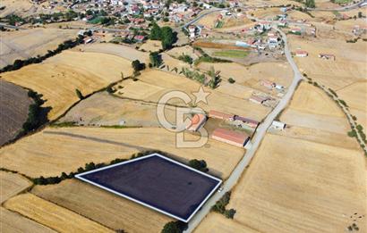 Çanakkale Lapseki Şahinli Köye Yakın Manzaralı 4.650m² Tarla
