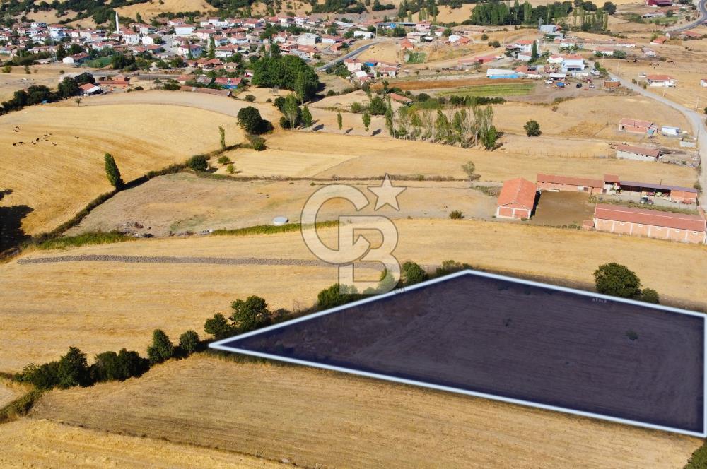 Çanakkale Lapseki Şahinli Köye Yakın Manzaralı 4.650m² Tarla