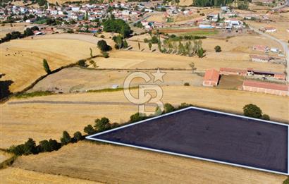 Çanakkale Lapseki Şahinli Köye Yakın Manzaralı 4.650m² Tarla