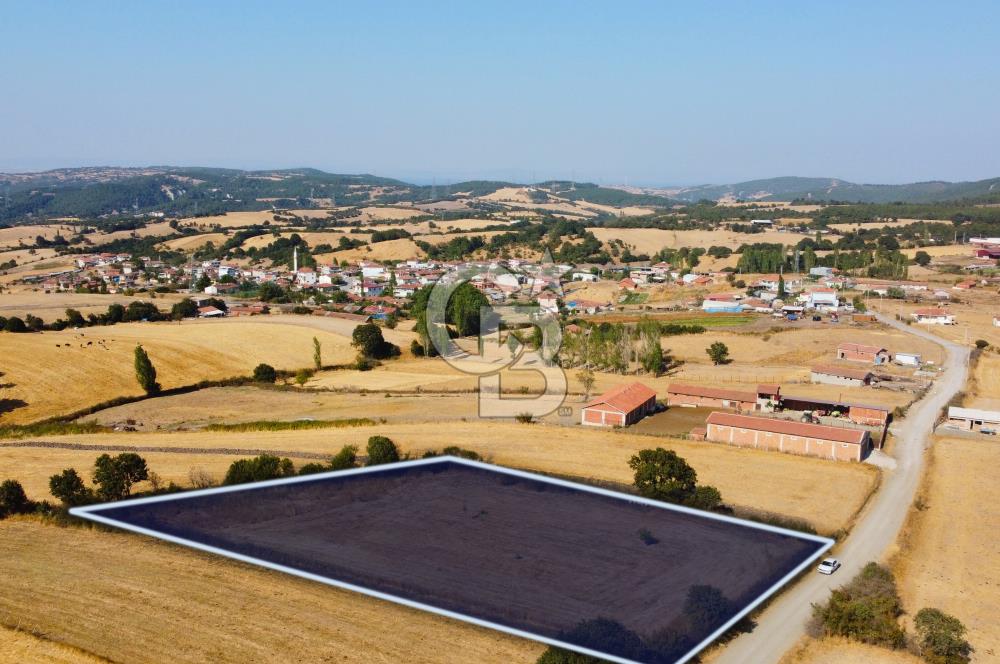 Çanakkale Lapseki Şahinli Köye Yakın Manzaralı 4.650m² Tarla