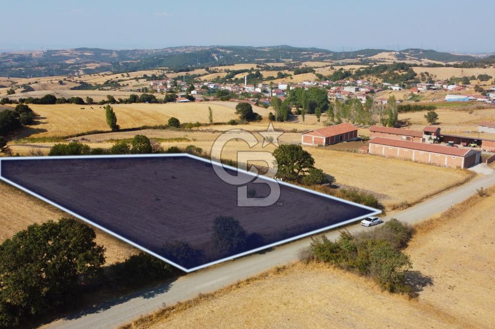 Çanakkale Lapseki Şahinli Köye Yakın Manzaralı 4.650m² Tarla